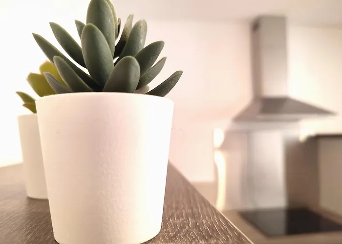 아파트 ⁂⁂ Le Grand Duc Cledicihome / Magnifique Vue Sur Les Montagnes / 4 Kms De Gerardmer ! ⁂⁂ Rochesson