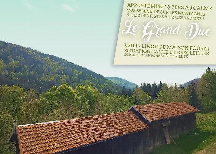 ⁂⁂ Le Grand Duc Cledicihome / Magnifique Vue Sur Les Montagnes / 4 Kms De Gerardmer ! ⁂⁂