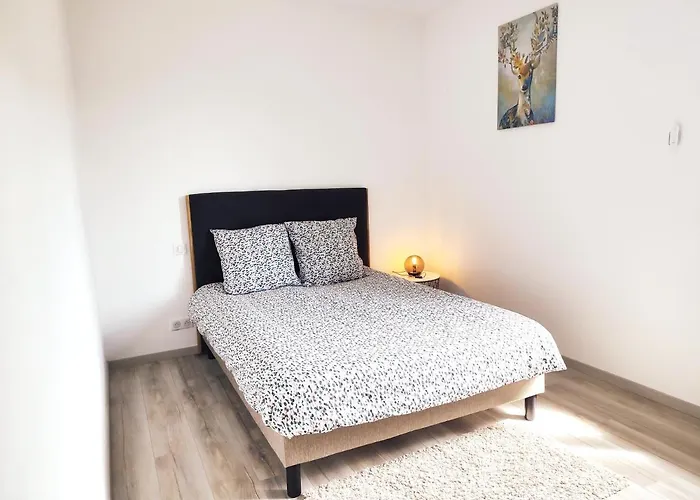 ⁂⁂ Le Grand Duc Cledicihome / Magnifique Vue Sur Les Montagnes / 4 Kms De Gerardmer ! ⁂⁂ 아파트 Rochesson