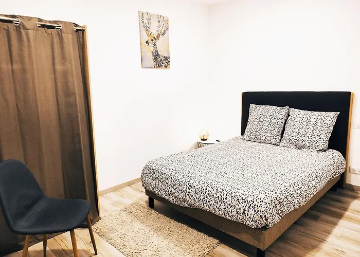 아파트 ⁂⁂ Le Grand Duc Cledicihome / Magnifique Vue Sur Les Montagnes / 4 Kms De Gerardmer ! ⁂⁂ Rochesson