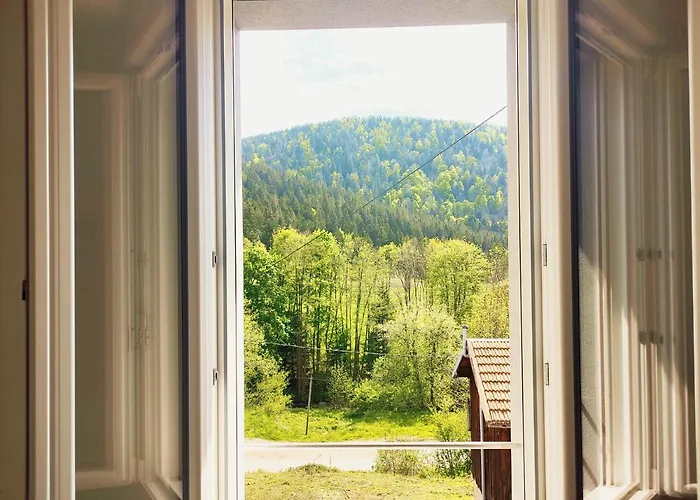 ⁂⁂ Le Grand Duc Cledicihome / Magnifique Vue Sur Les Montagnes / 4 Kms De Gerardmer ! ⁂⁂ *